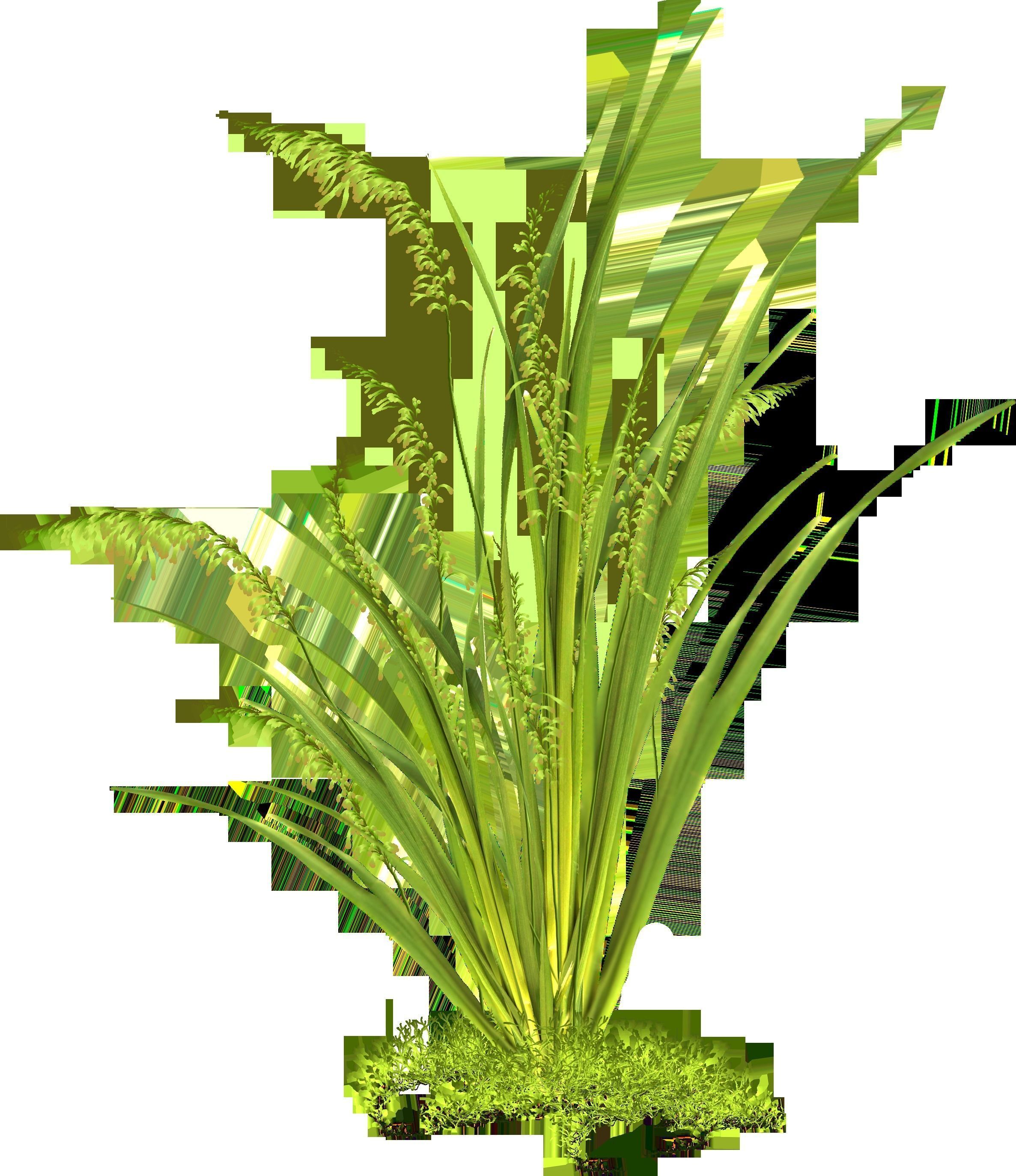 some grass for game  Free 3D model_7