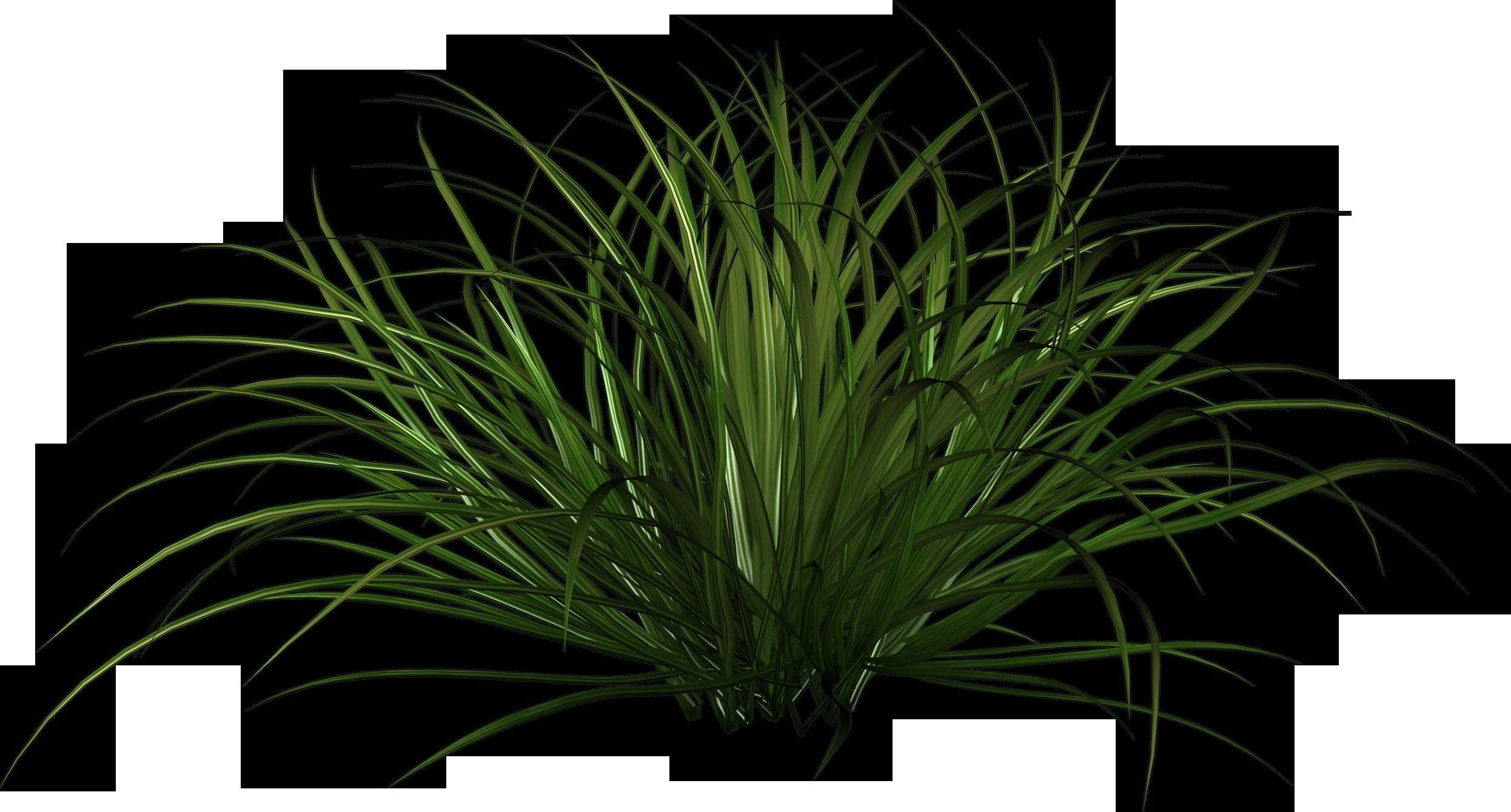 some grass for game  Free 3D model_5