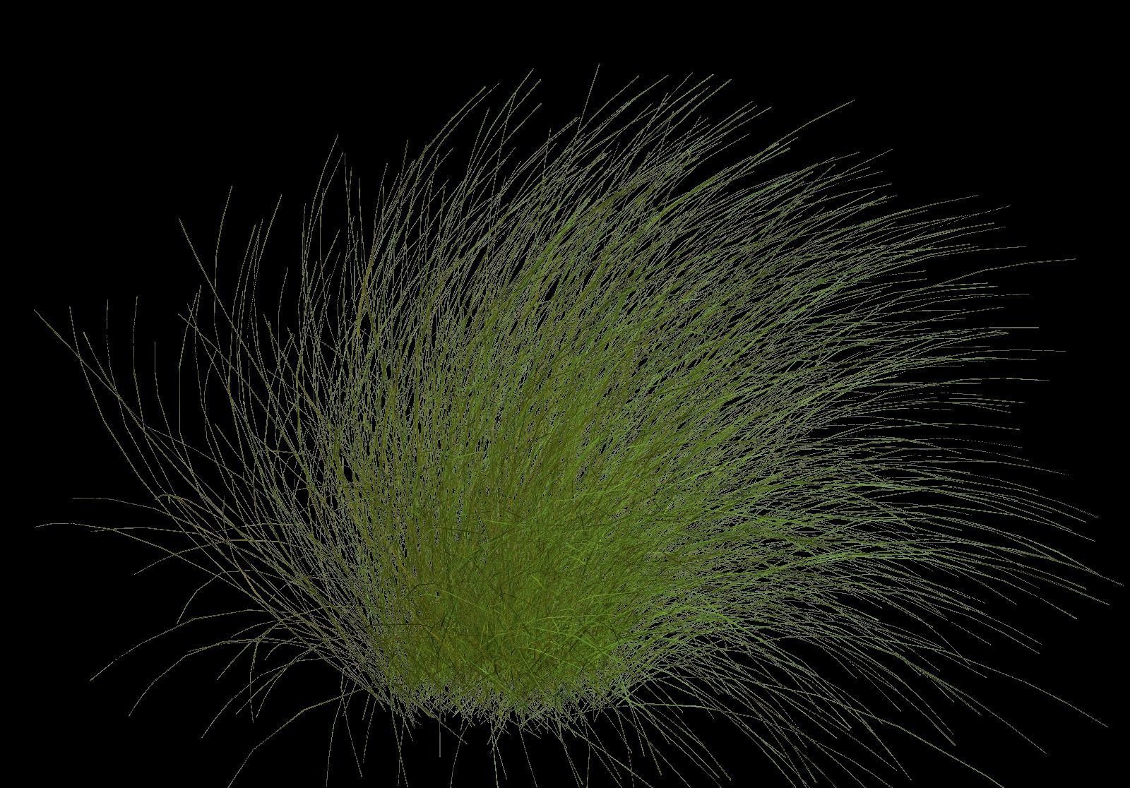 some grass for game  Free 3D model_9