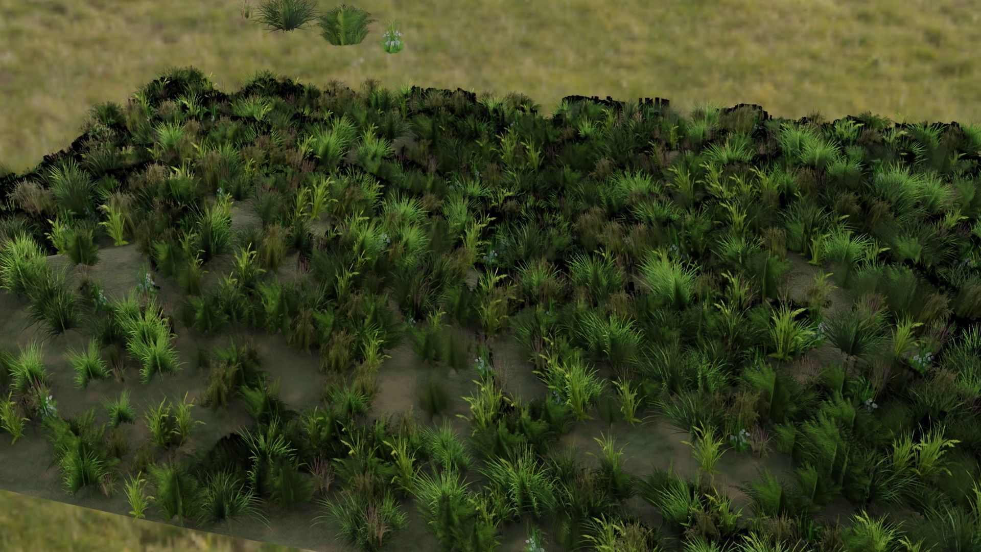 some grass for game  Free 3D model_2