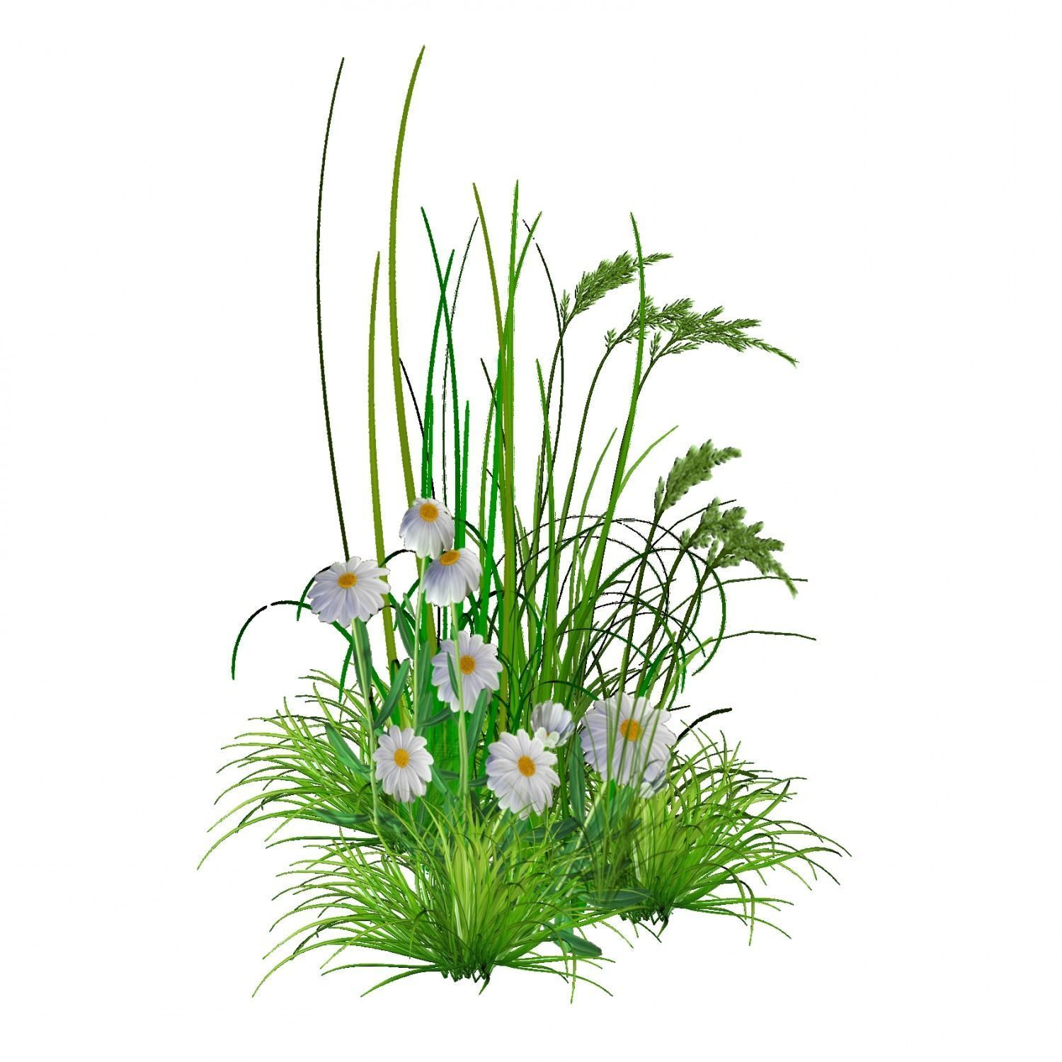 some grass for game  Free 3D model_1