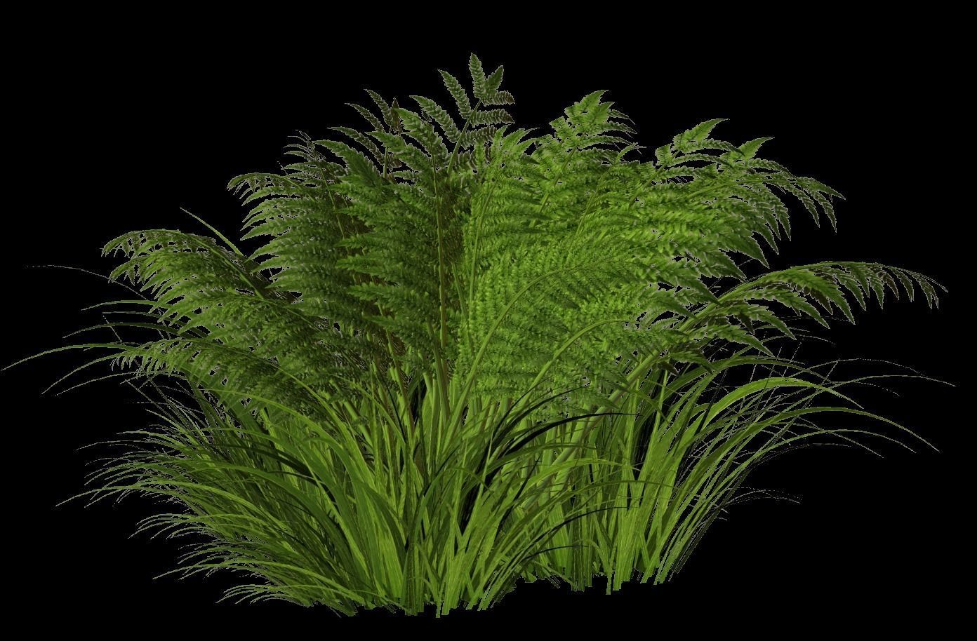 some grass for game  Free 3D model_4
