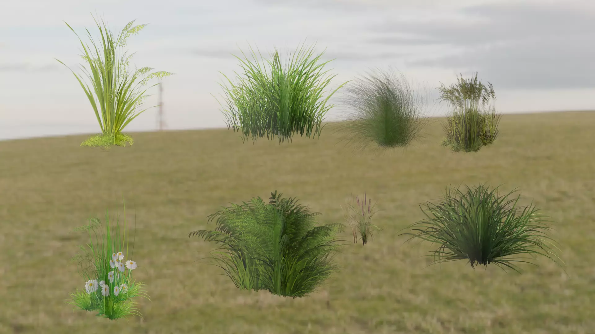 some grass for game  Free 3D model_0