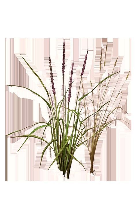 some grass for game  Free 3D model_6