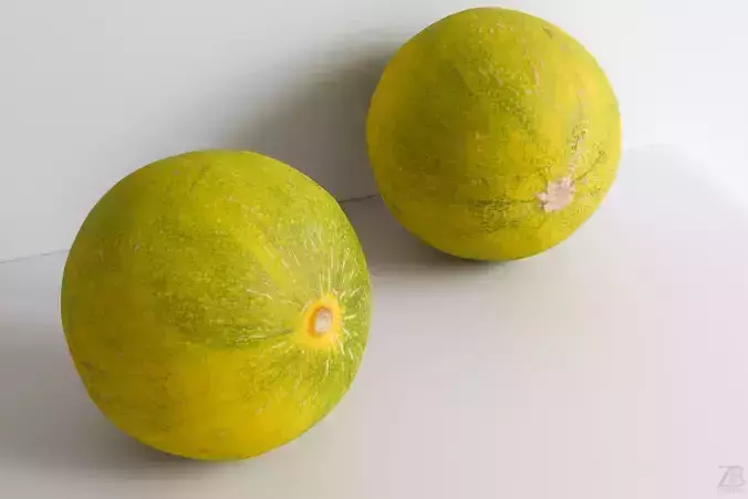 Melon 3D model