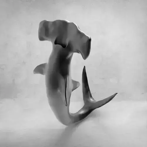 3D Hammer Shark 3D model