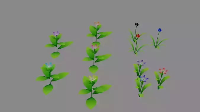 Flower plants and flowers