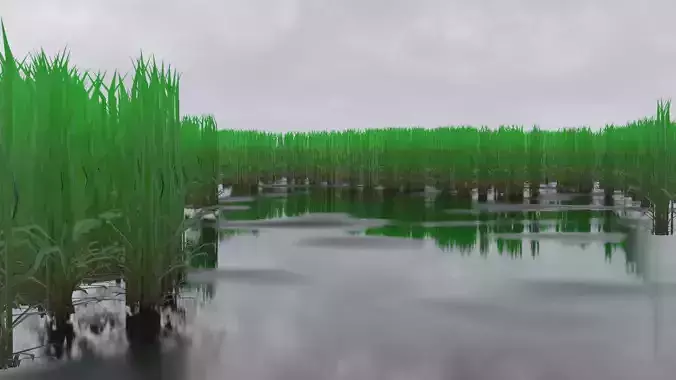 Lopoly Swamp