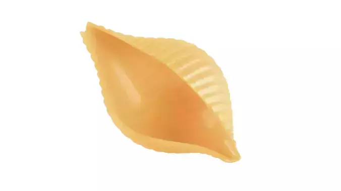 Pasta Conchiglie Rigate macaroni 3D model