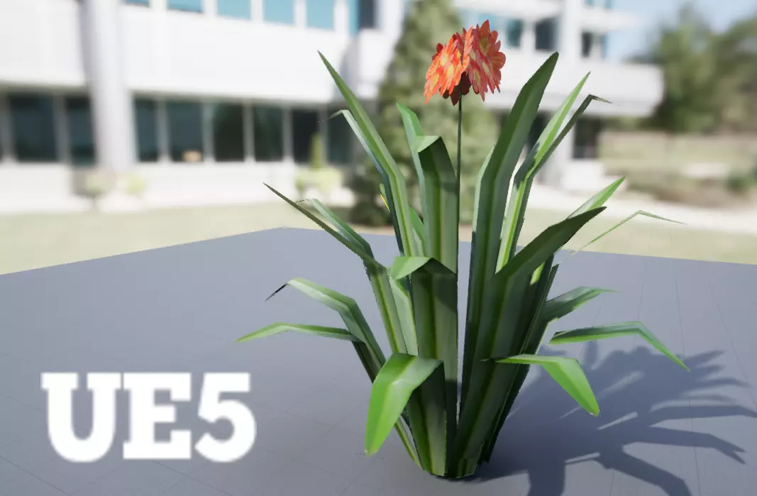 Kaffir Lily Clivia Miniata PBR Lowpoly Low-poly 3D model_0