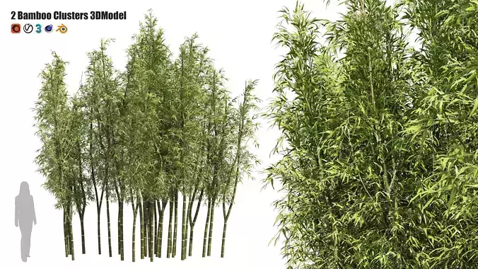 2 Bamboo Clusters 3D model