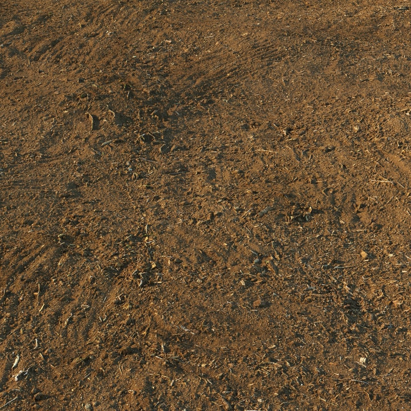 Loose soil material 03 3D model_5