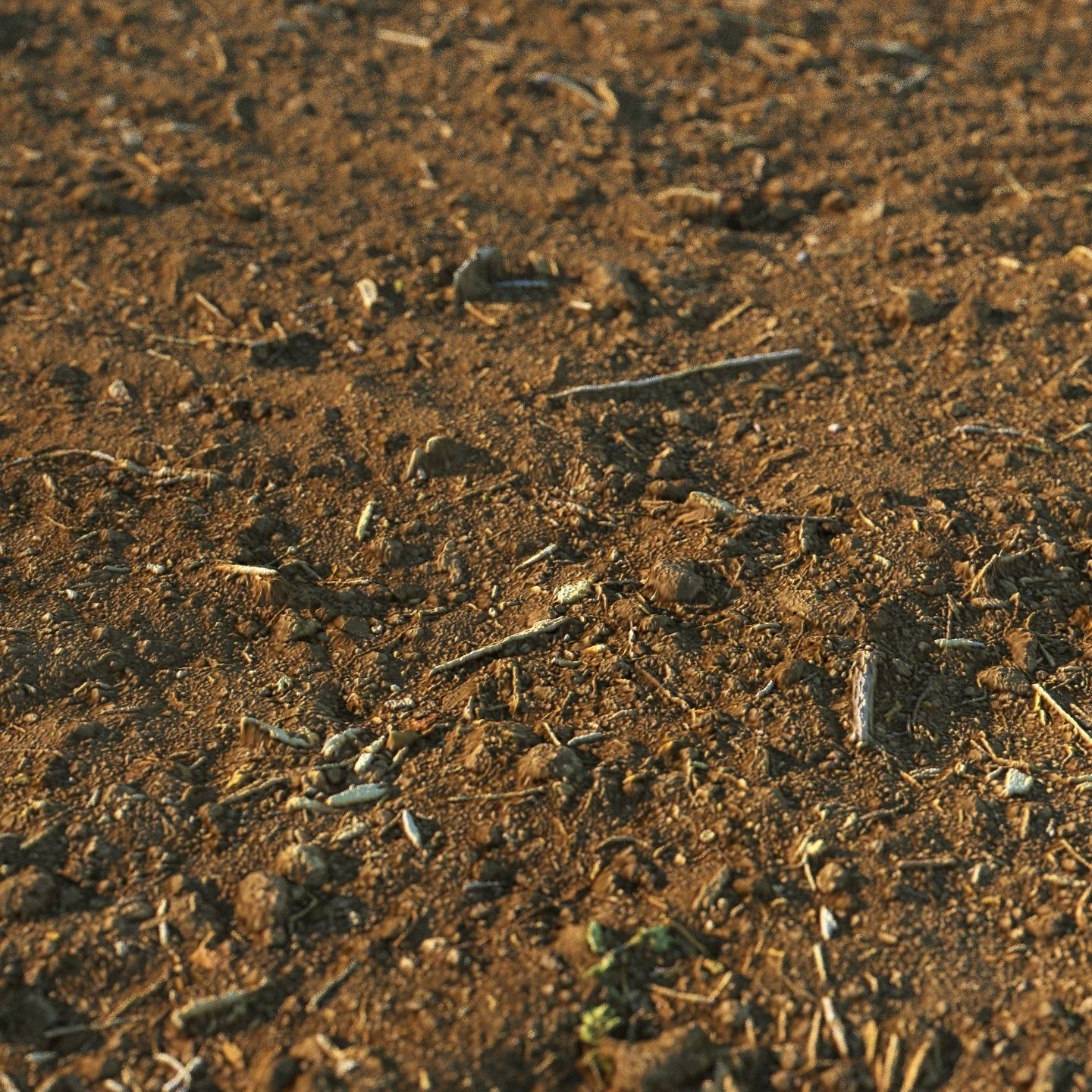 Loose soil material 03 3D model_3