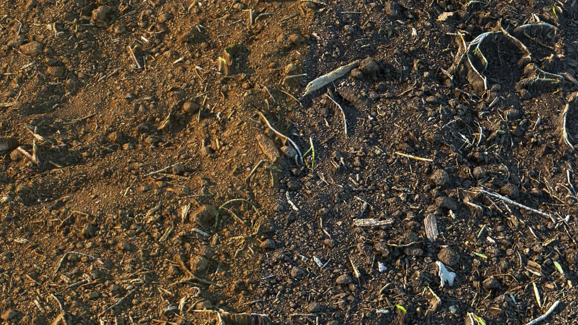 Loose soil material 03 3D model_0