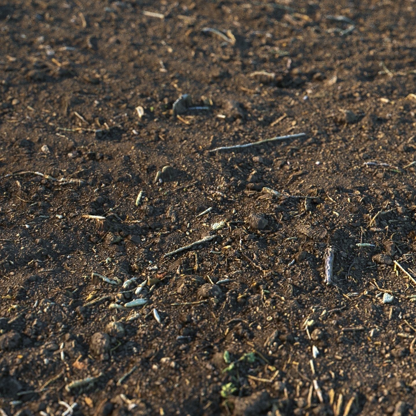 Loose soil material 03 3D model_2