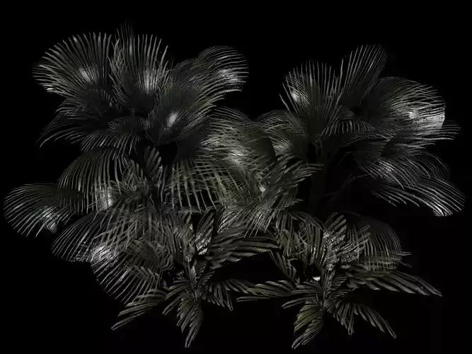 Plants - game ready 3d model palm tree