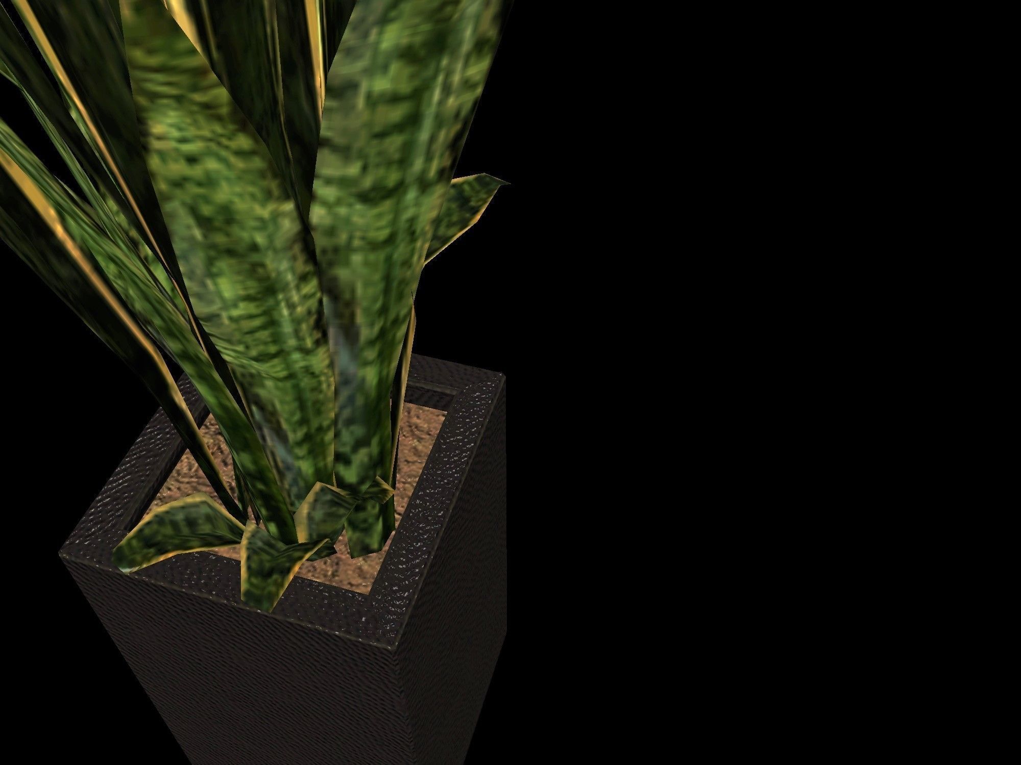 pot plant 2 -game ready 3d model Low-poly 3D model_4