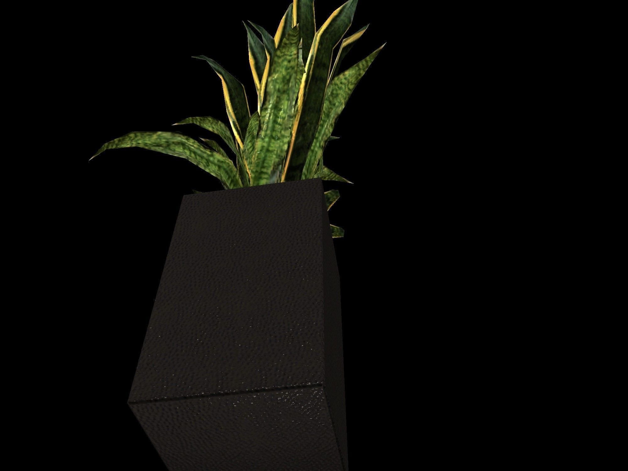 pot plant 2 -game ready 3d model Low-poly 3D model_3