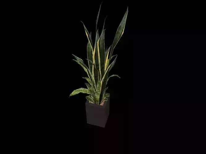 pot plant 2 -game ready 3d model