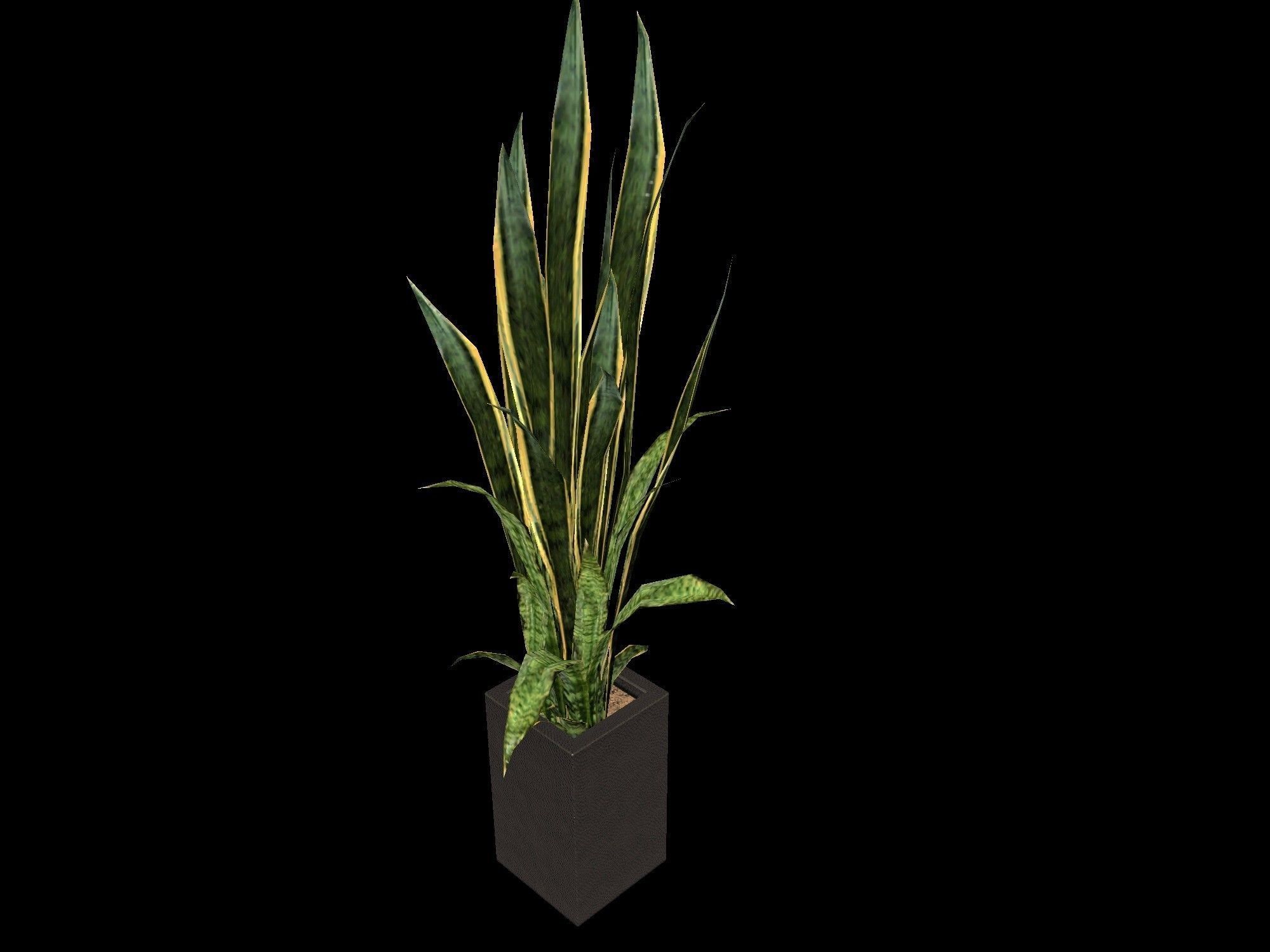 pot plant 2 -game ready 3d model Low-poly 3D model_1