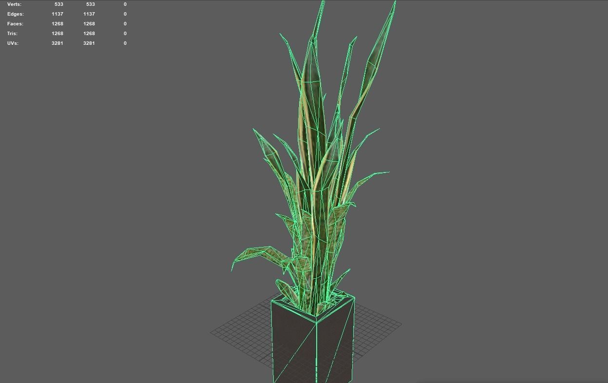pot plant 2 -game ready 3d model Low-poly 3D model_9