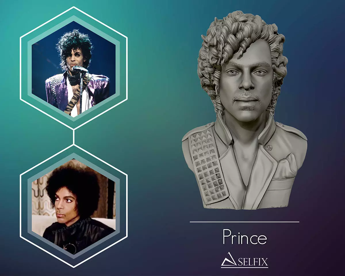 Prince portrait sculpture 3D print model_0