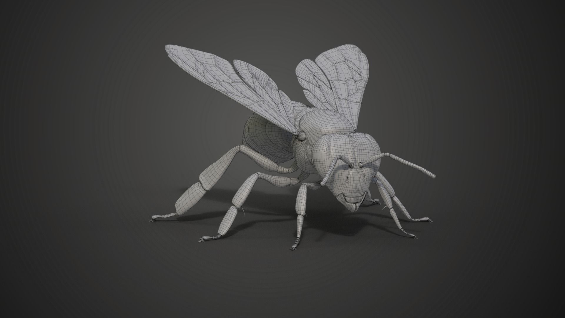 Honey bee Animated VFX Grace 3D model_22