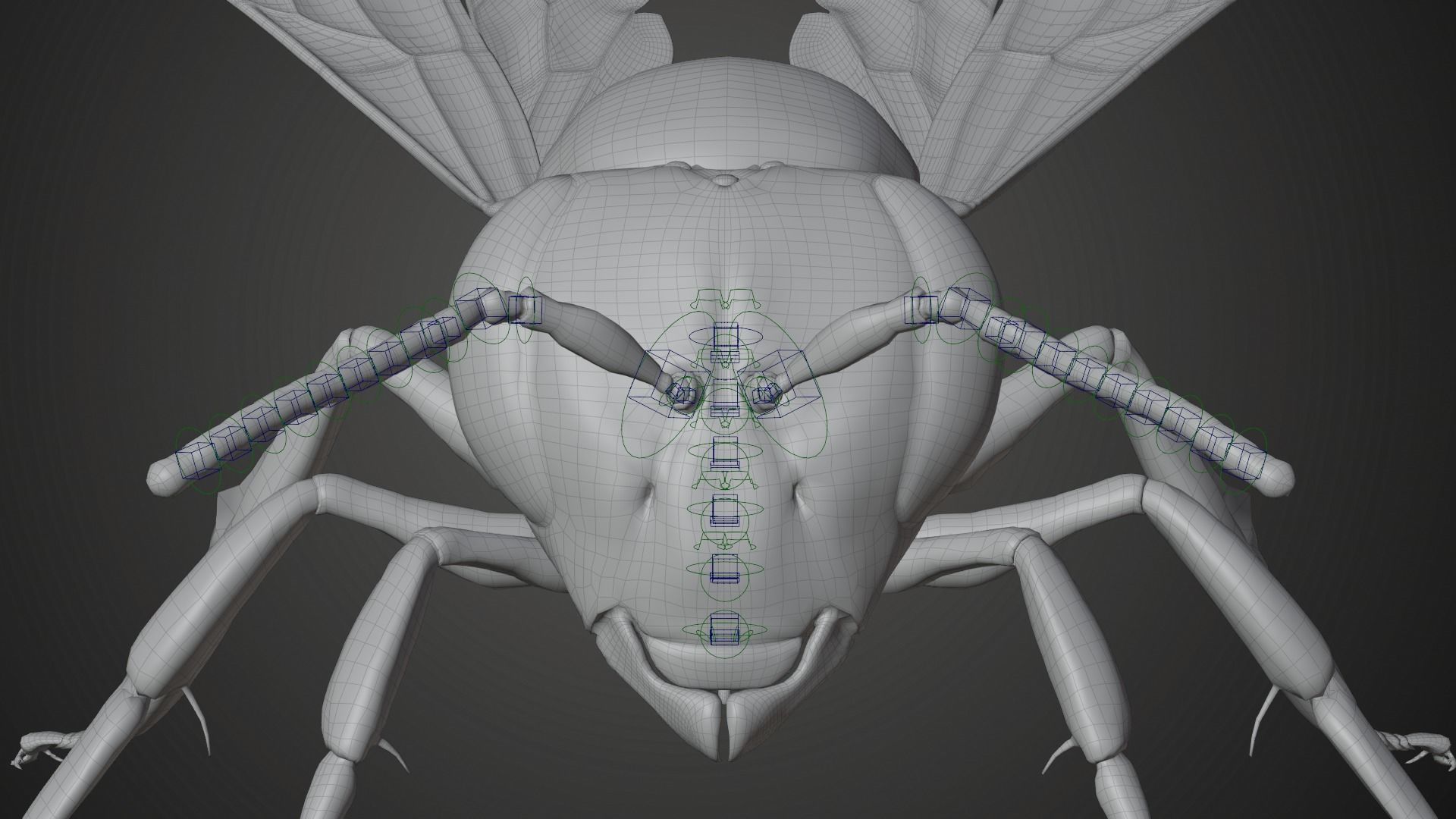 Honey bee Animated VFX Grace 3D model_17