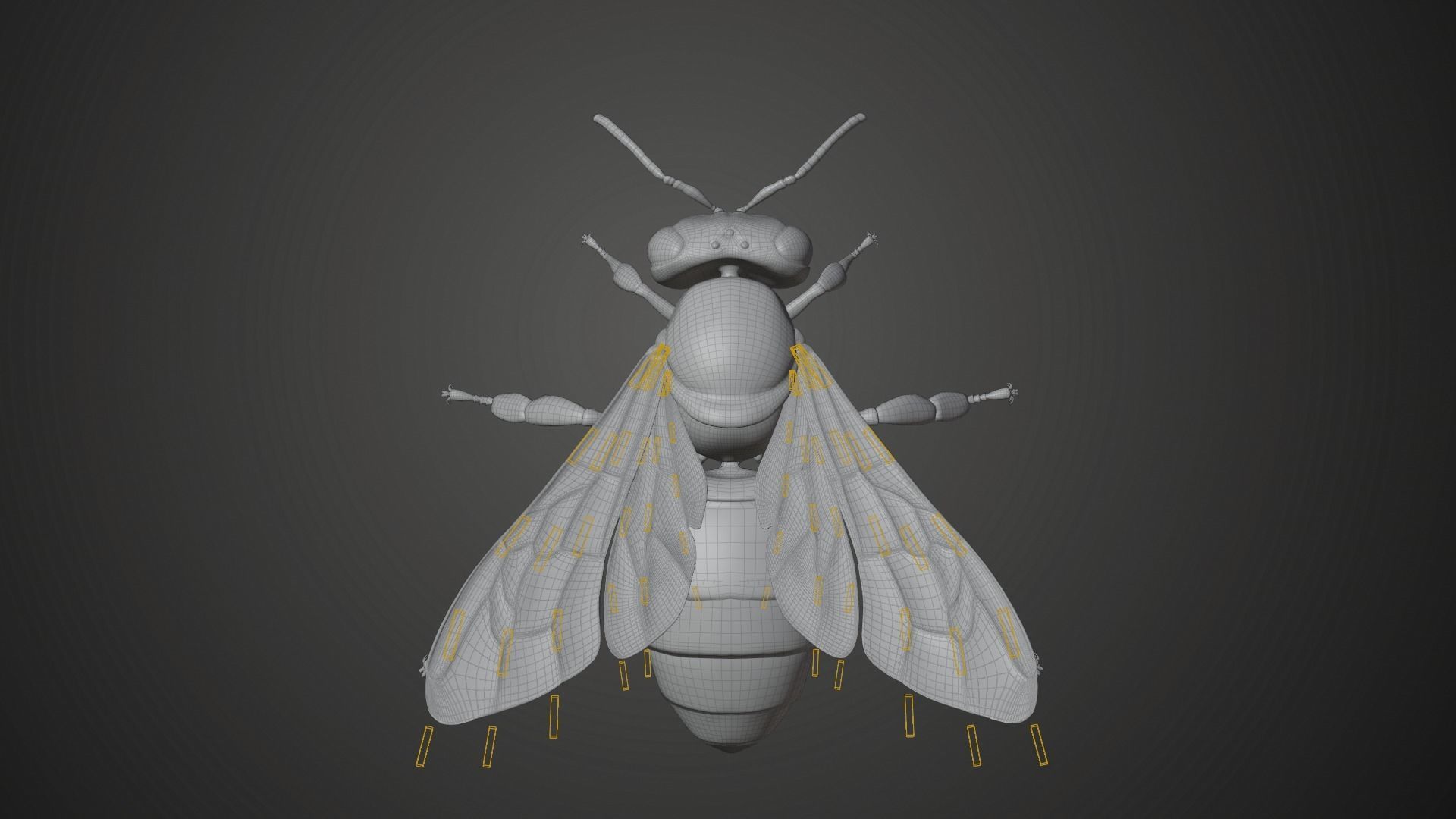 Honey bee Animated VFX Grace 3D model_25
