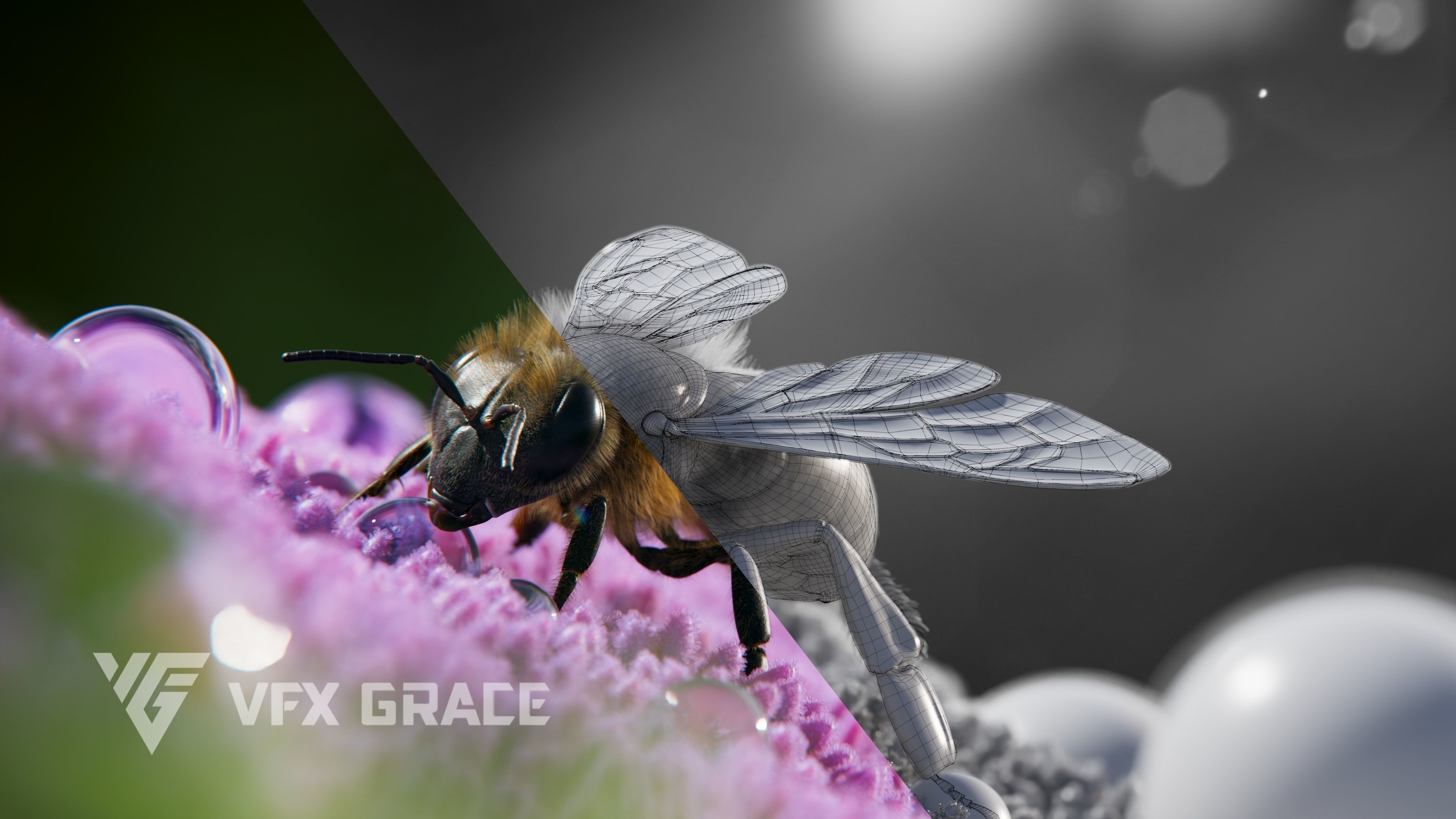 Honey bee Animated VFX Grace 3D model_4