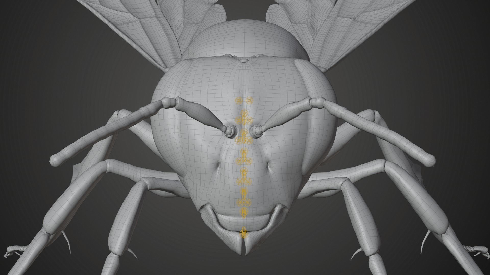 Honey bee Animated VFX Grace 3D model_27