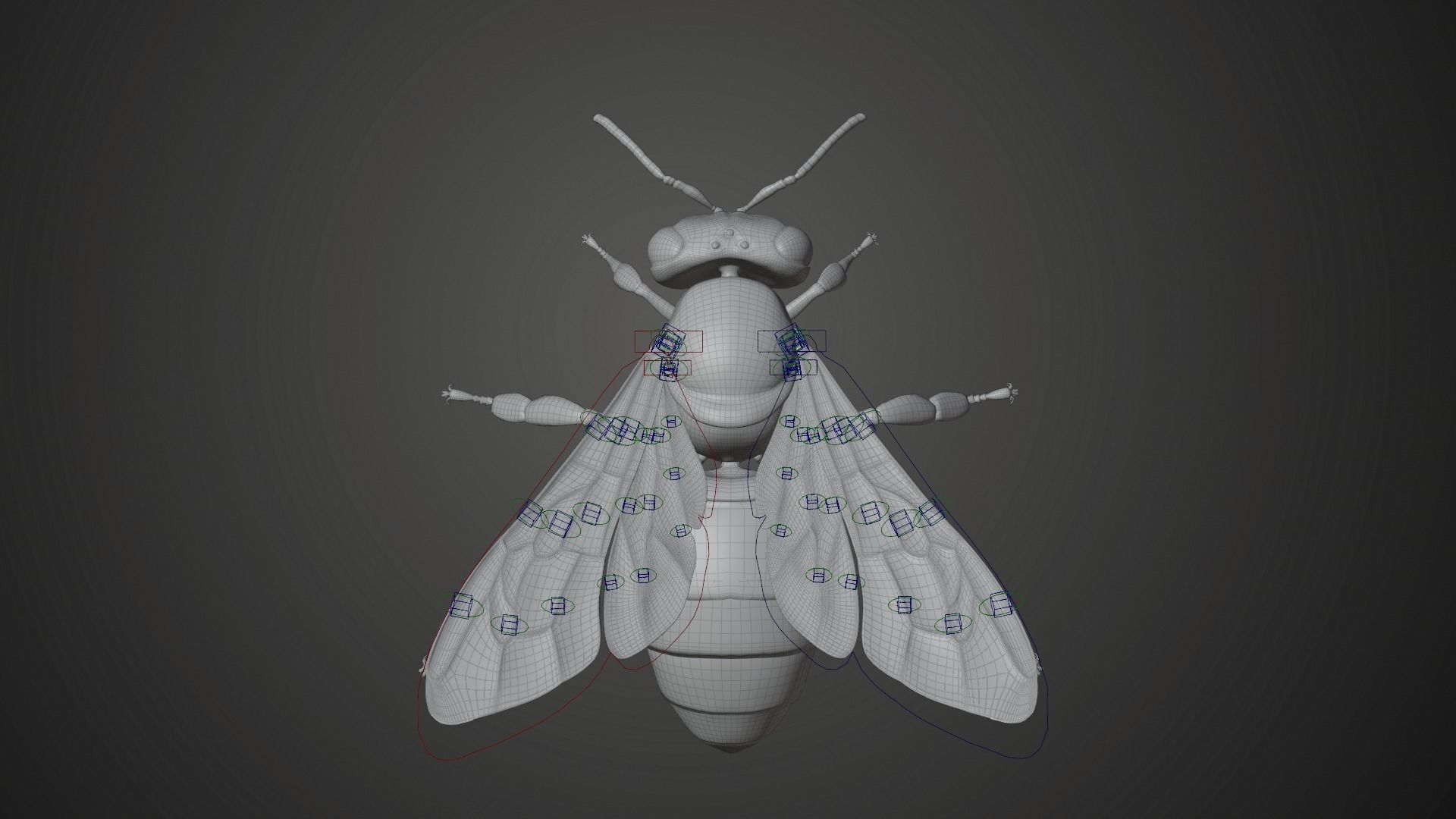 Honey bee Animated VFX Grace 3D model_16