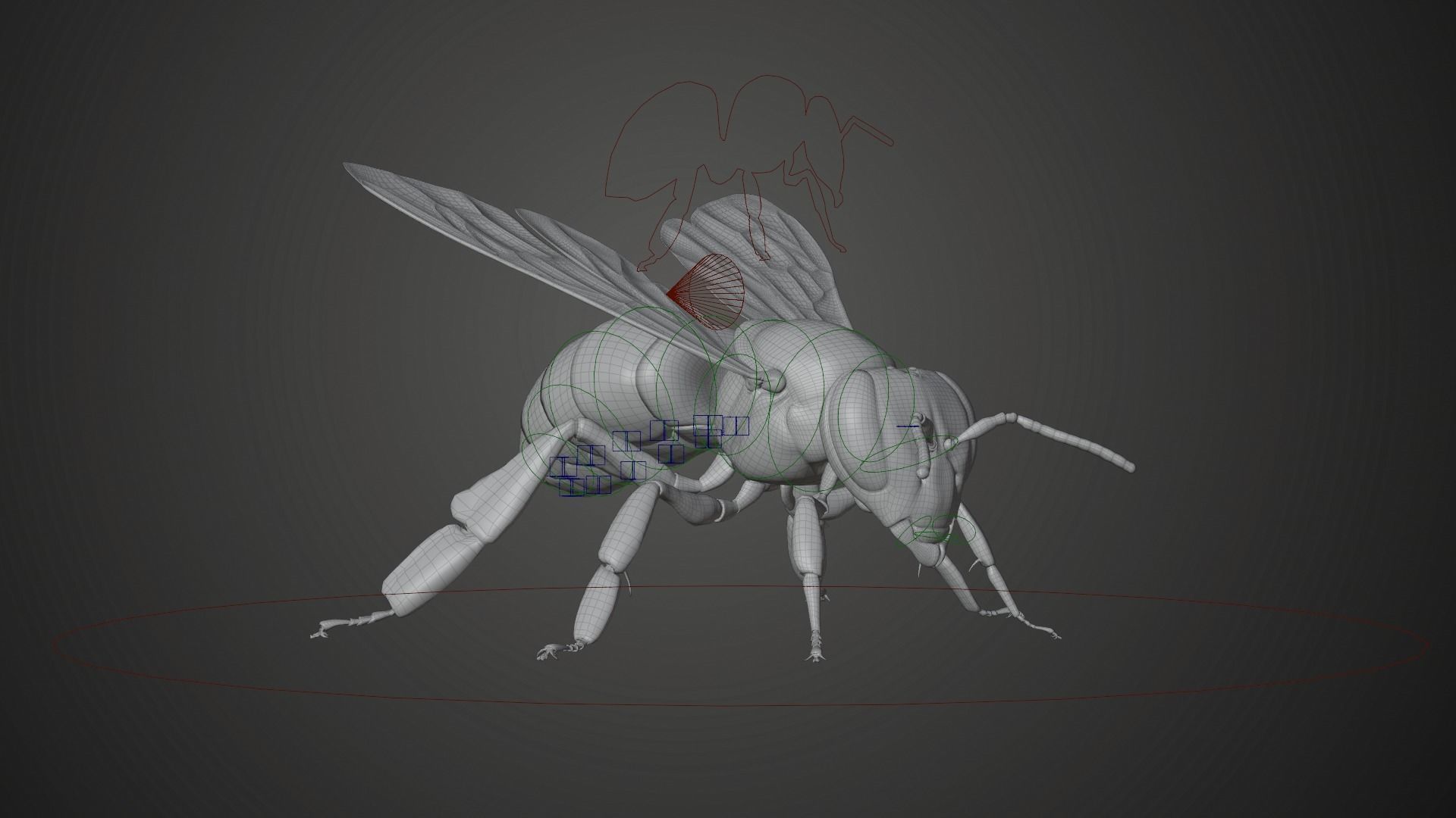 Honey bee Animated VFX Grace 3D model_19