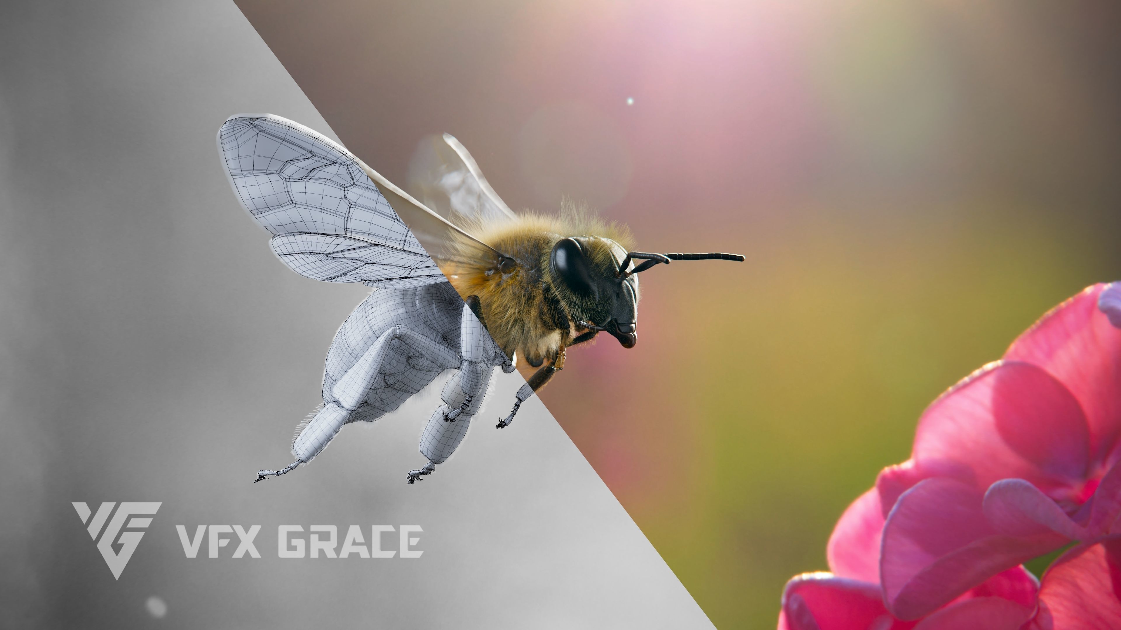 Honey bee Animated VFX Grace 3D model_6