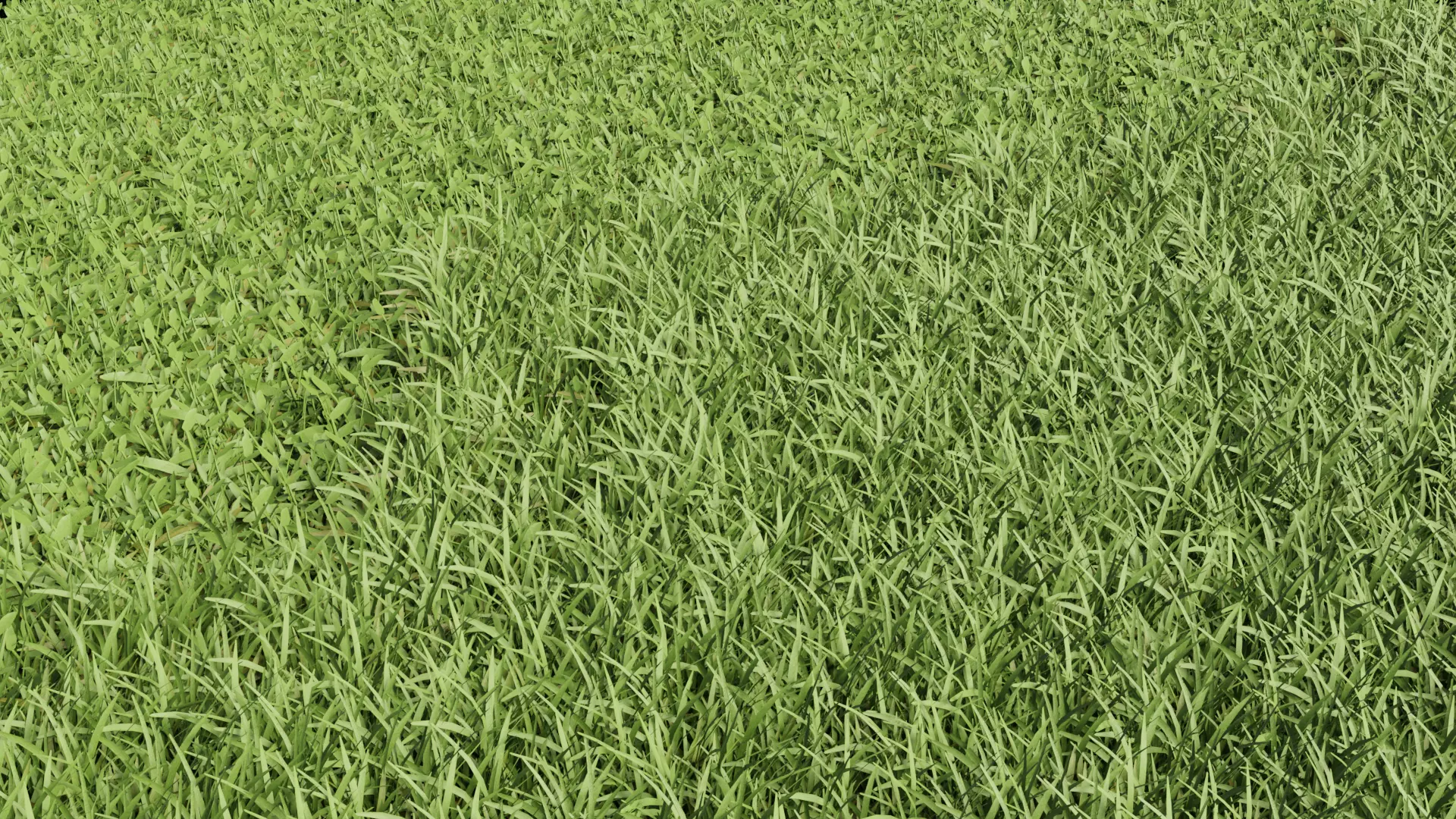 Realistic Grass Long and Short 3D model_0