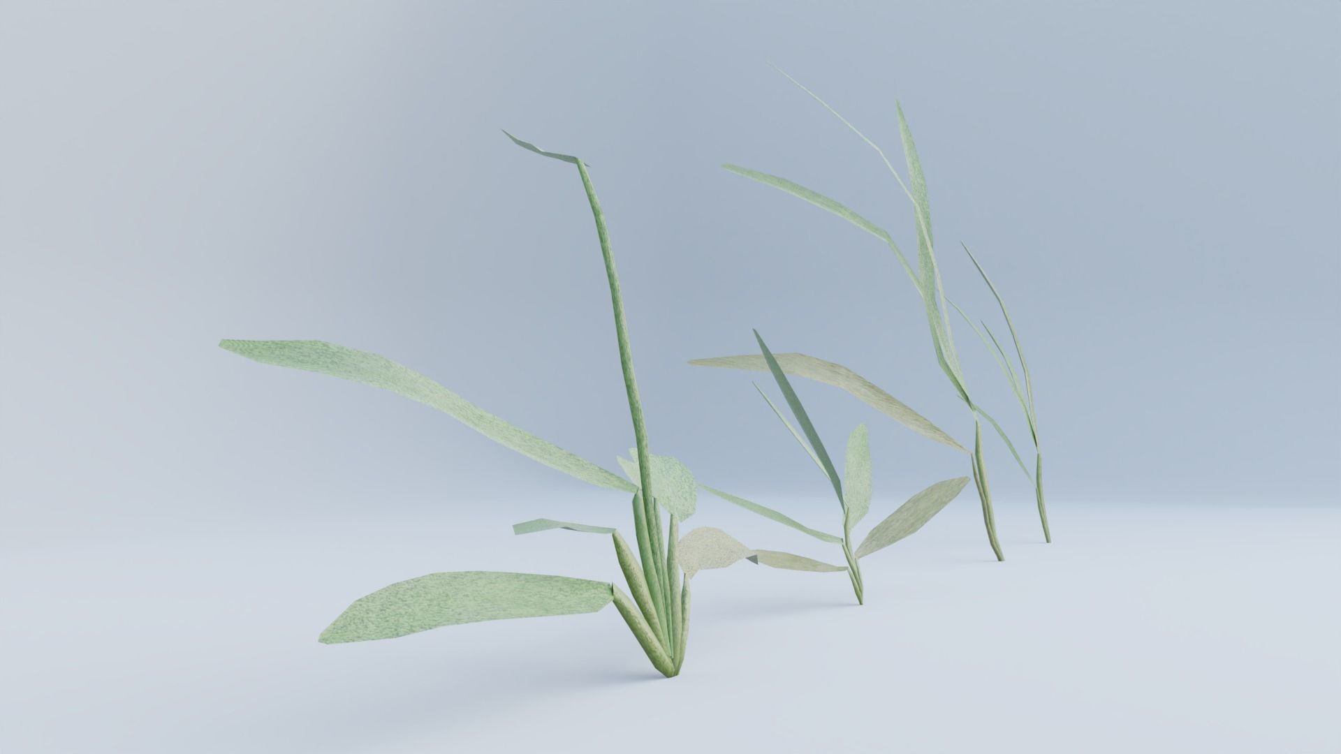 Realistic Grass Long and Short 3D model_11