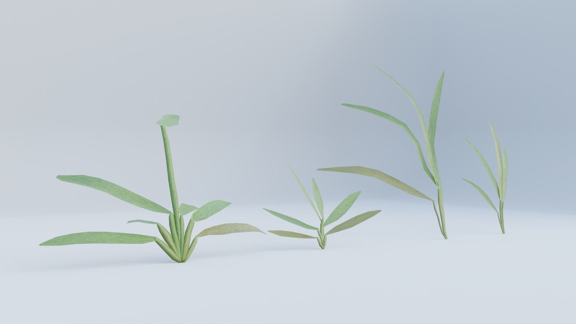 Realistic Grass Long and Short 3D model_10