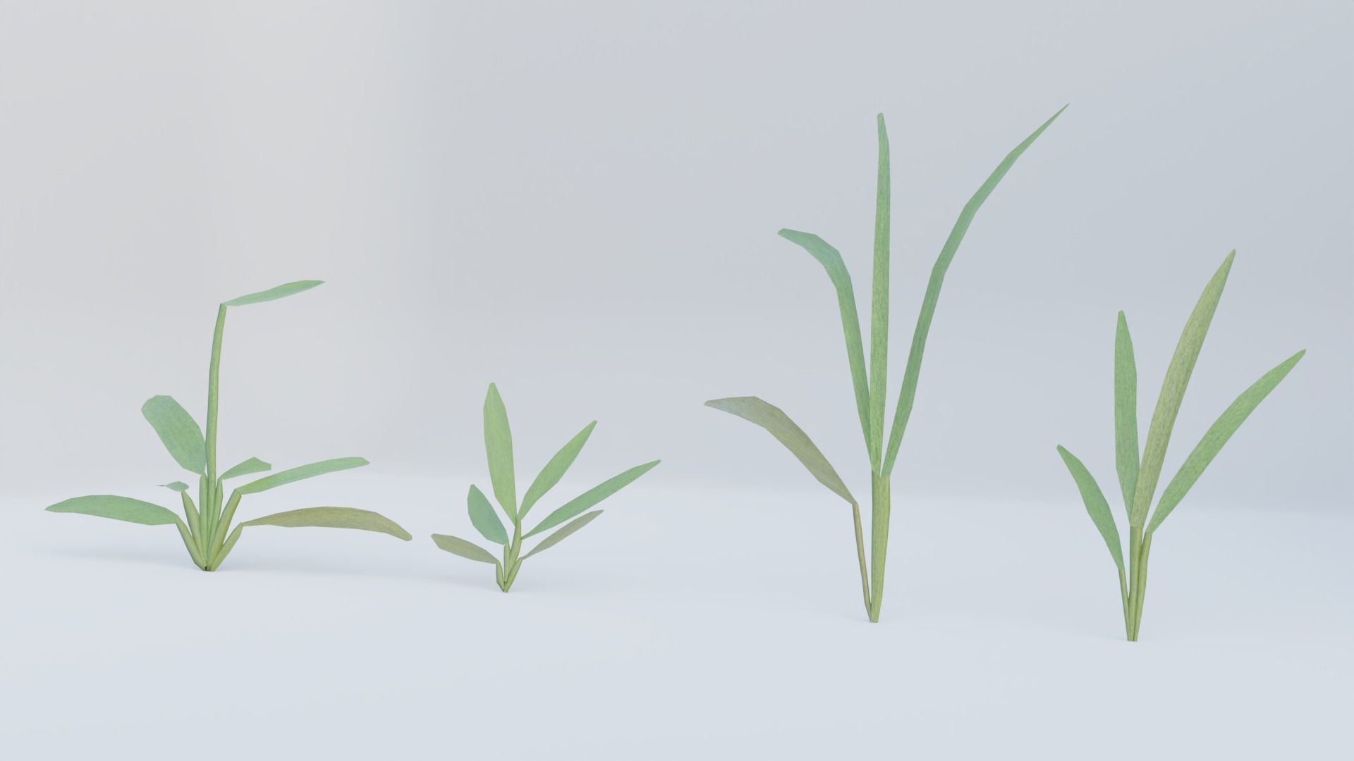 Realistic Grass Long and Short 3D model_9