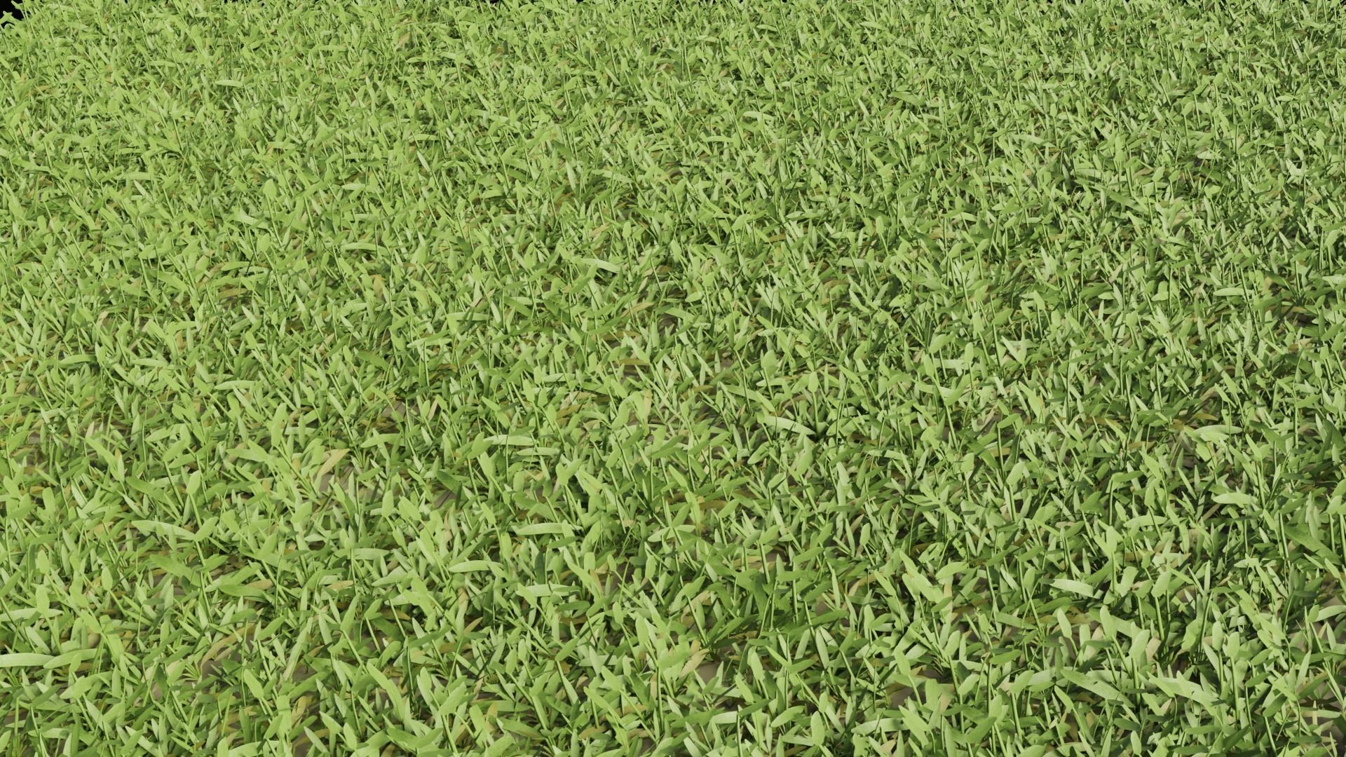 Realistic Grass Long and Short 3D model_1