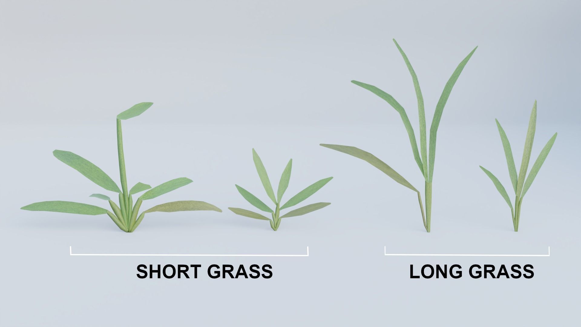 Realistic Grass Long and Short 3D model_4