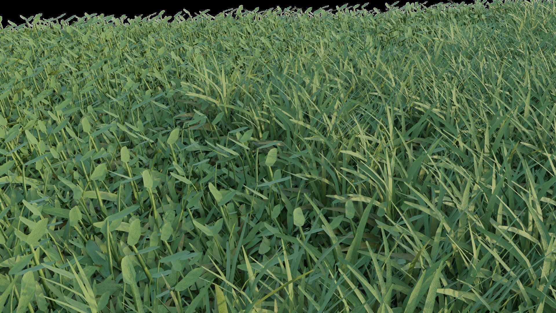 Realistic Grass Long and Short 3D model_3