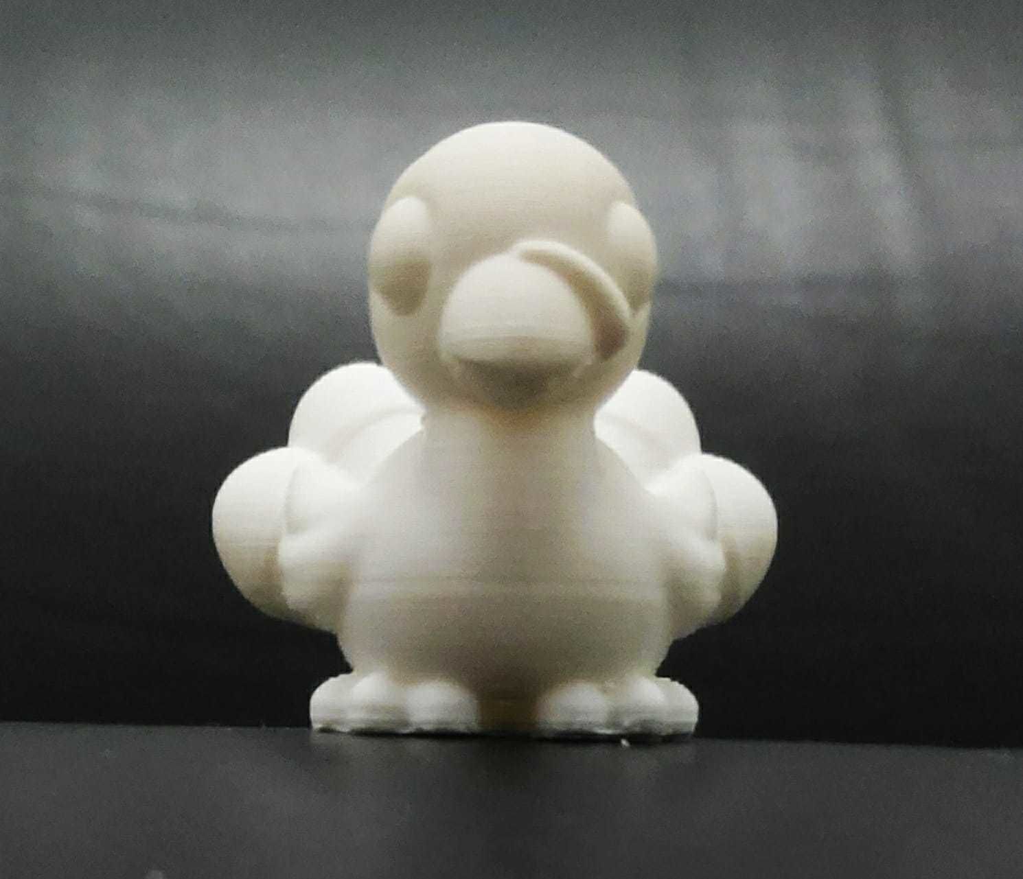Baby Turkey 3D print model_5