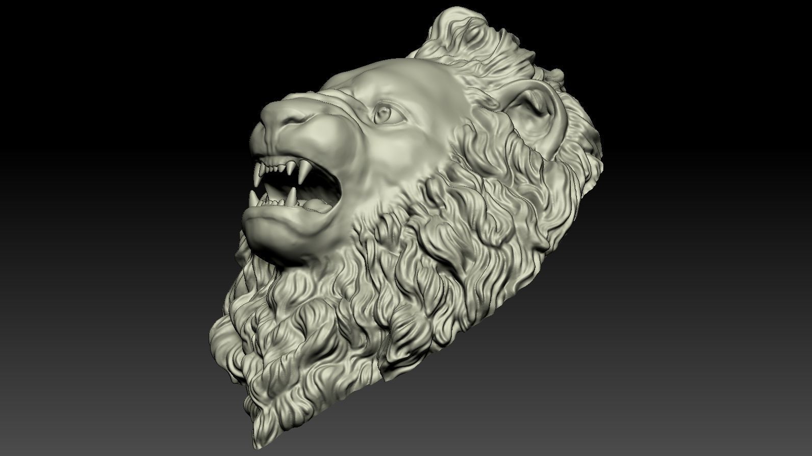 Lion Head Relief  3D Print Model 3D print model_19