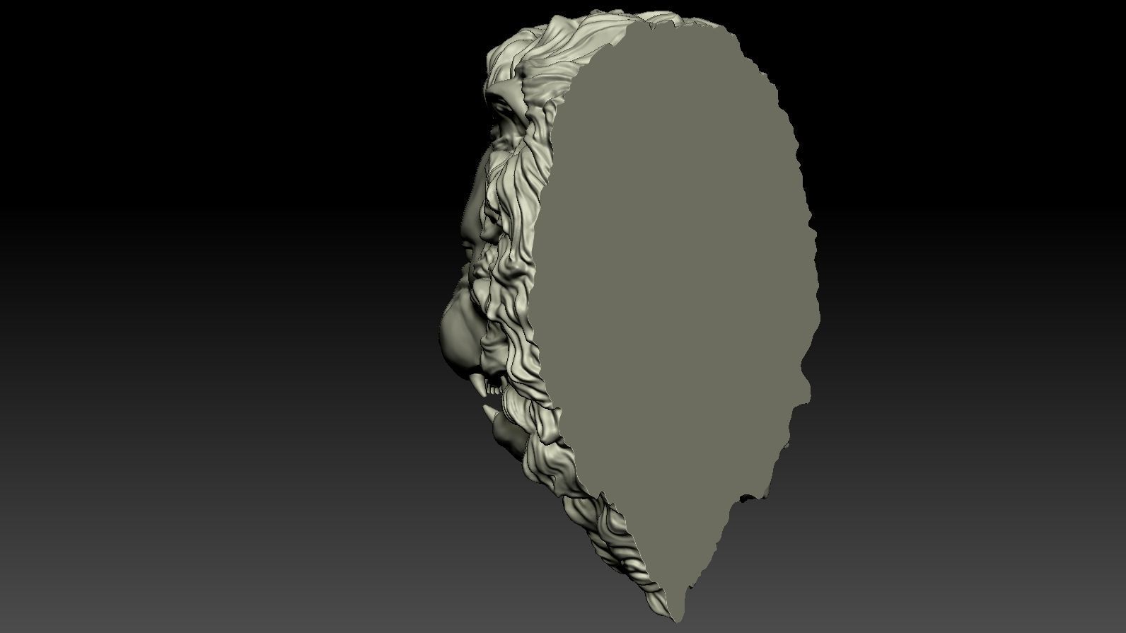 Lion Head Relief  3D Print Model 3D print model_3