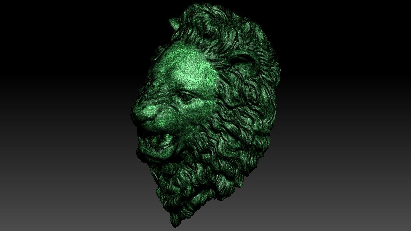 Lion Head Relief  3D Print Model 3D print model_28
