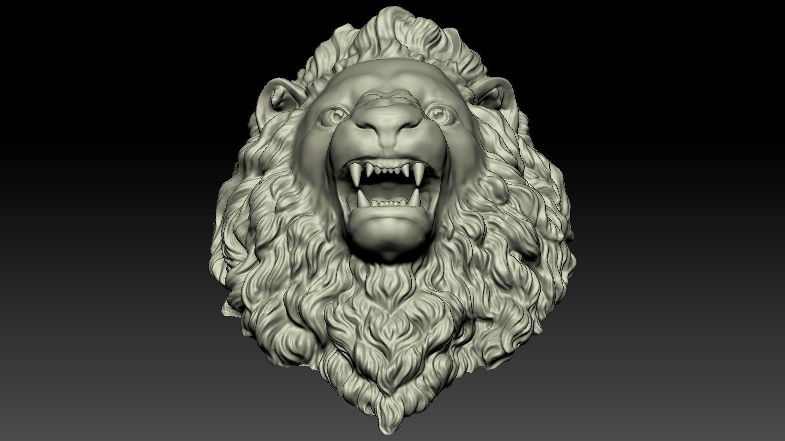 Lion Head Relief  3D Print Model 3D print model_18