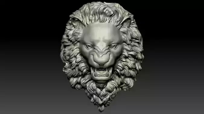 Lion Head Relief  3D Print Model 3D print model