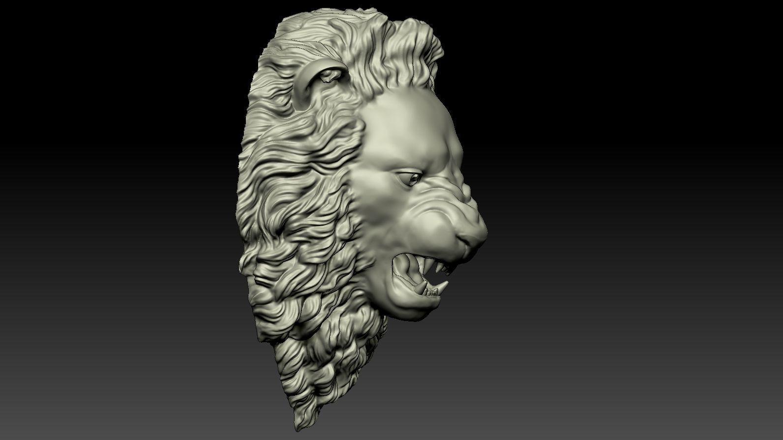 Lion Head Relief  3D Print Model 3D print model_12