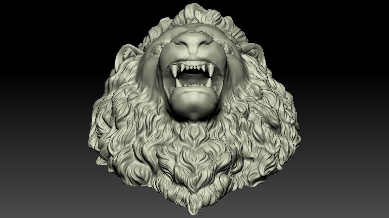 Lion Head Relief  3D Print Model 3D print model_17