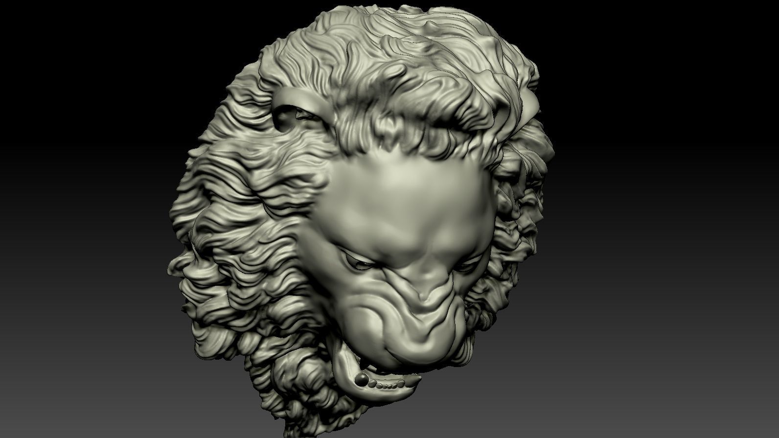 Lion Head Relief  3D Print Model 3D print model_6